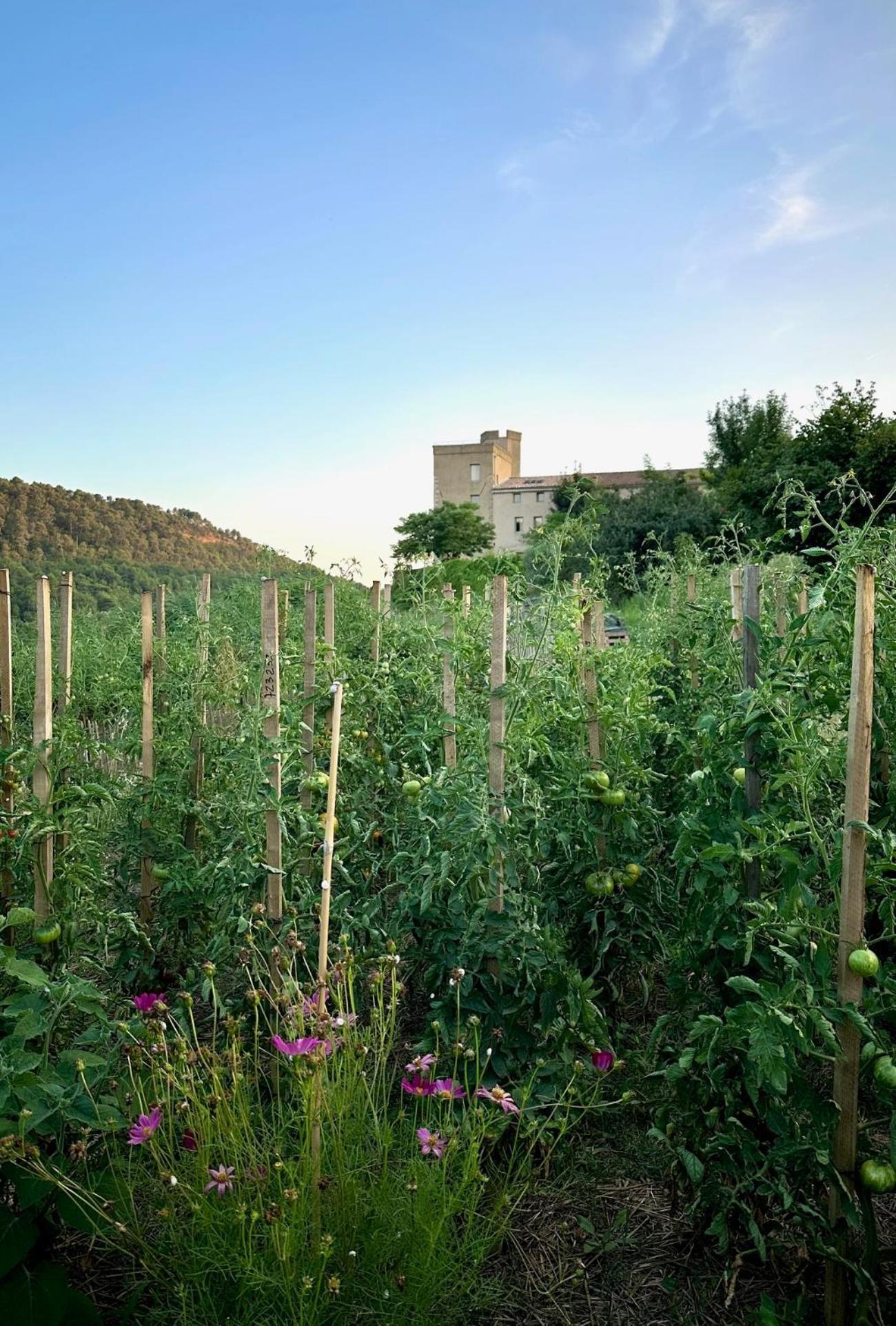 Bed & Breakfast Domaine La Ferme Hi Bride